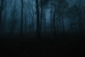 P0lilla