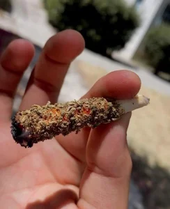 rexk_psicopata