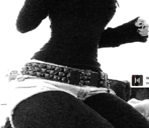 lacemizzery