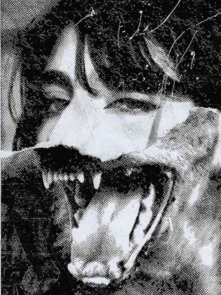 Divus