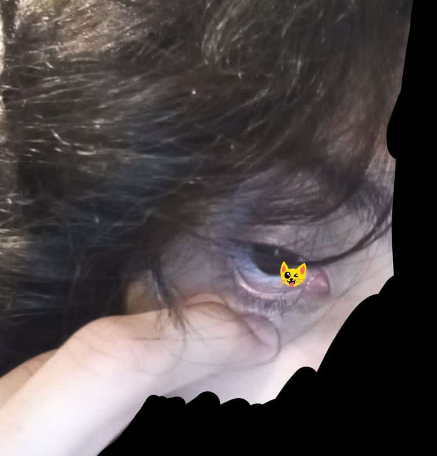 Son_of_zultra