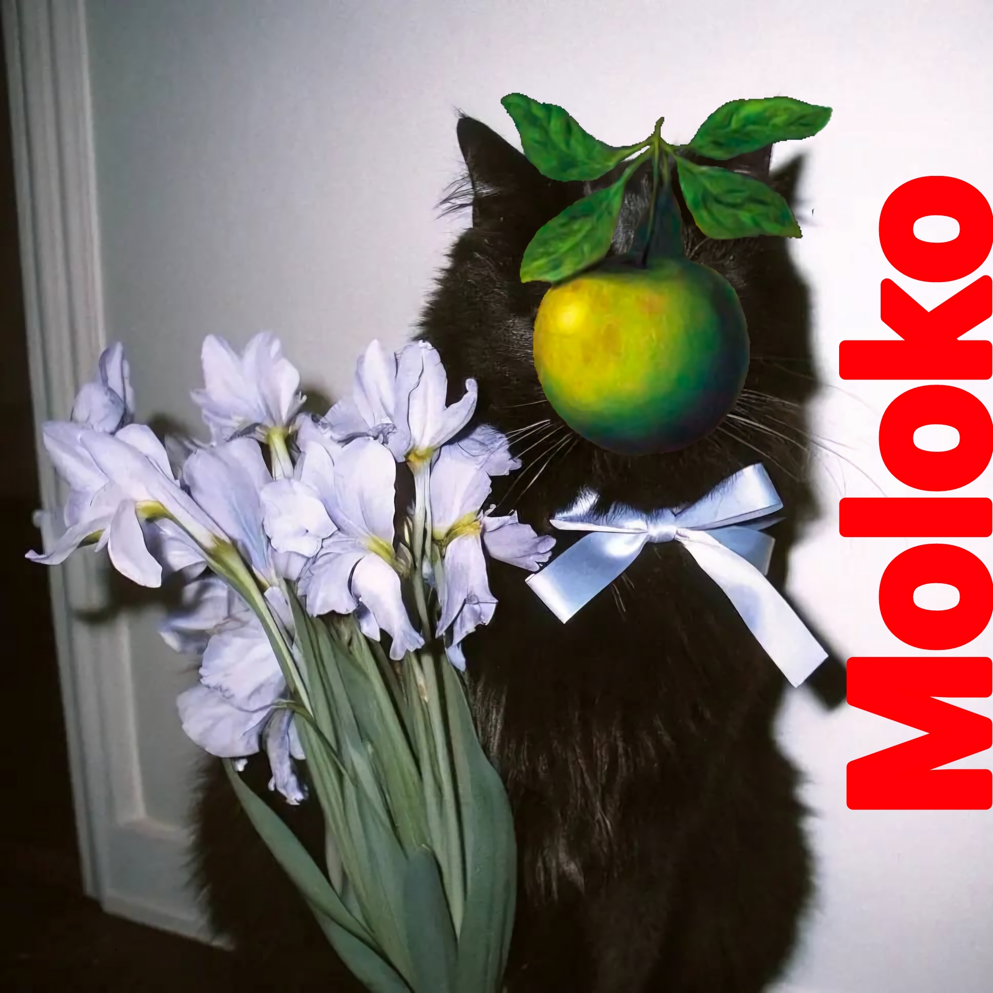 Moloko