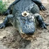 ricocuarpoxoxox
