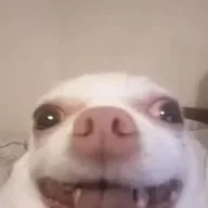Tunometecabrasaramambiche