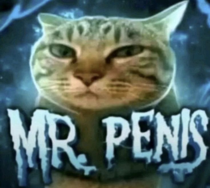 penetron3000:3