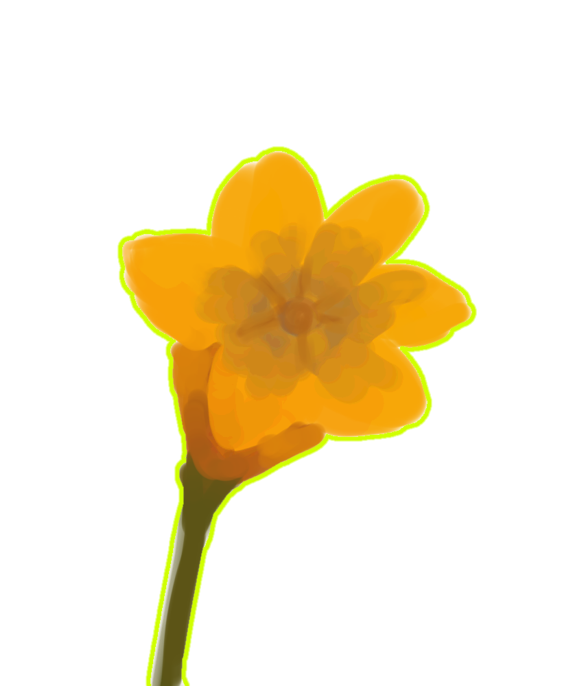 Flor