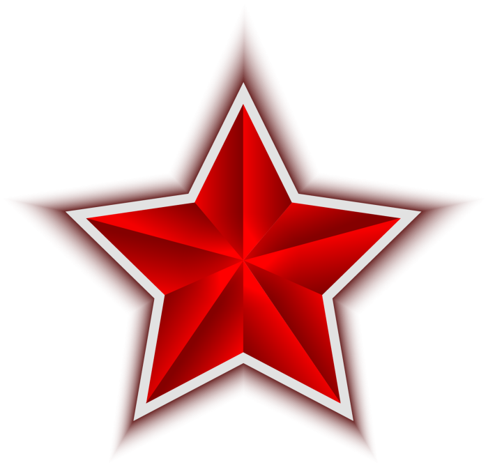 Estrella Decorativa