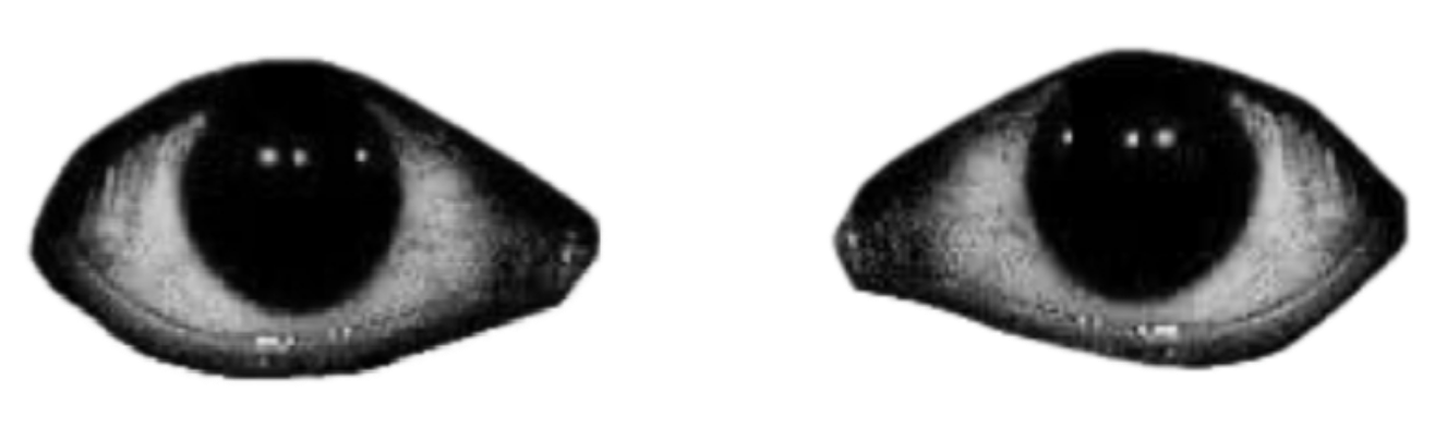 Ojos perturbador