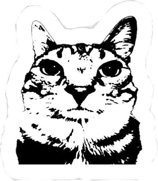 Gato