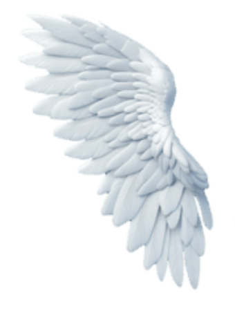 Ala derecha de angel