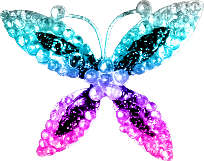 Mariposa Punk