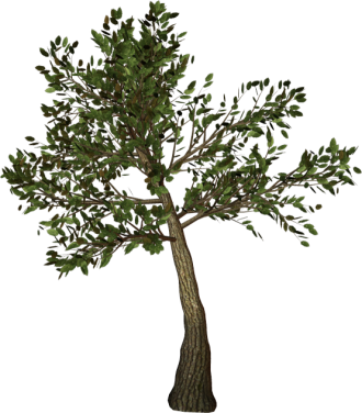 Arbol Decorativo