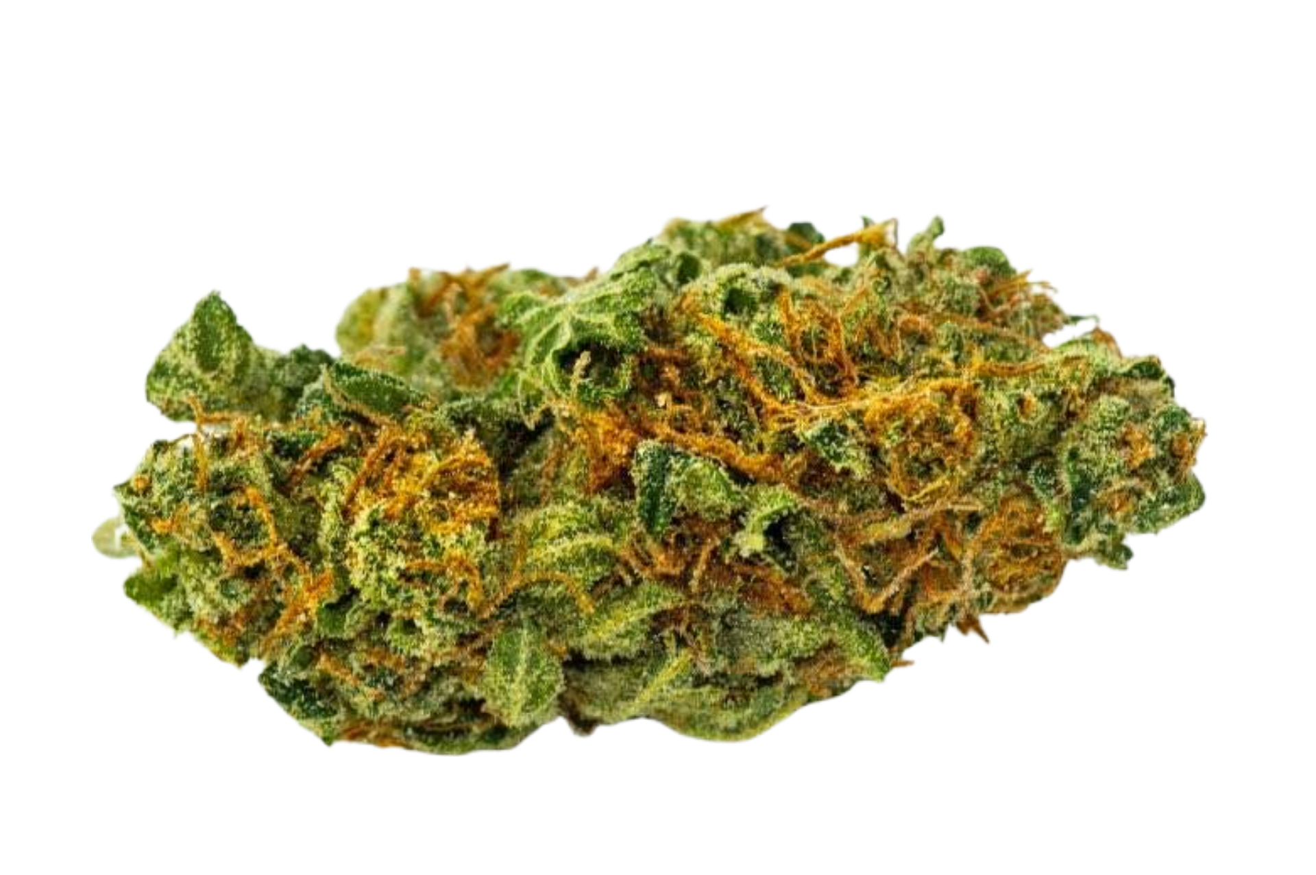 Mota
