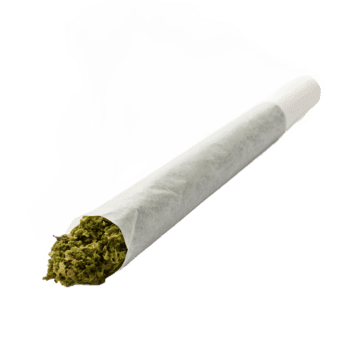 Cigarro de...