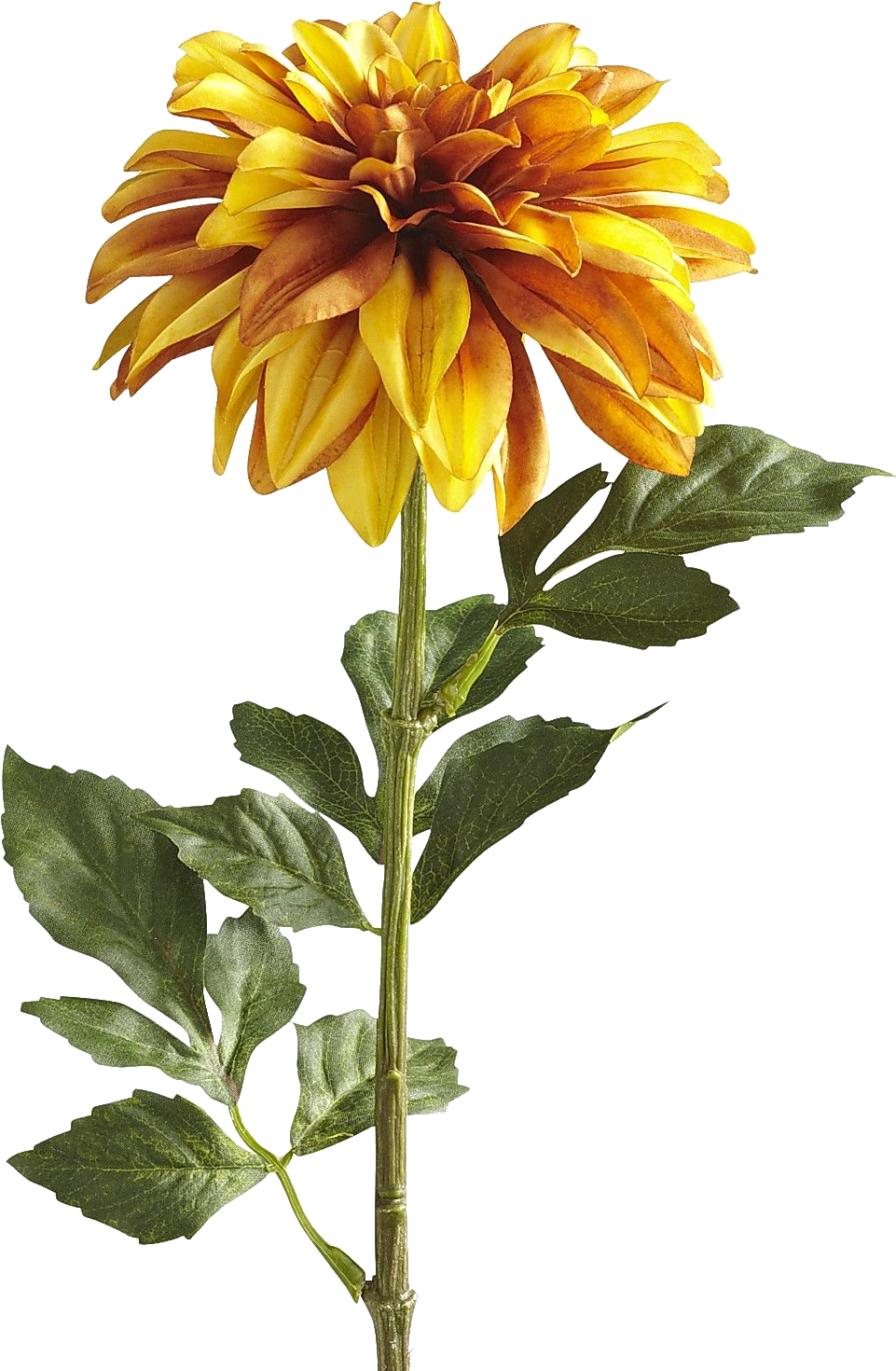 Flor Decorativa
